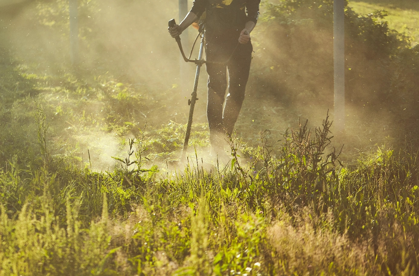 Dompter la végétation sauvage
